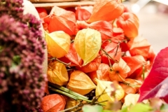 Herbstkonzert-005