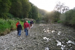 Möhringen-2010_133