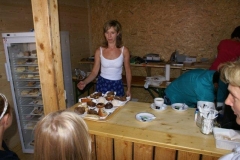 DSC05343